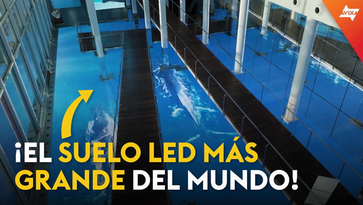 ¡El acuario de Barcelona tiene uno de los pisos LED más grandes del mundo!