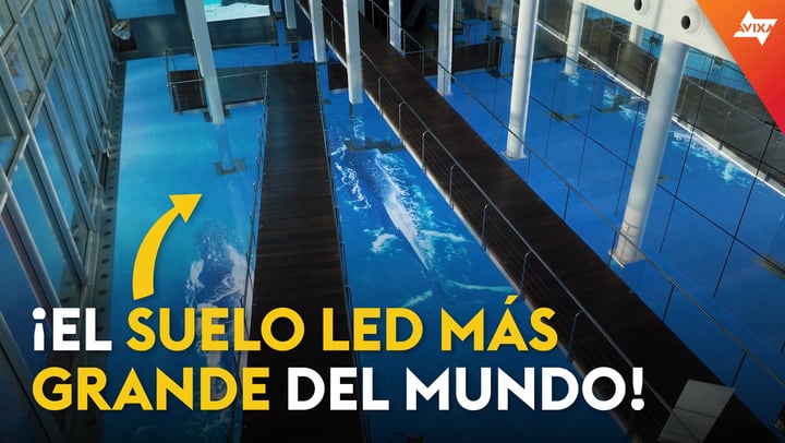 ¡El acuario de Barcelona tiene uno de los pisos LED más grandes del mundo!
