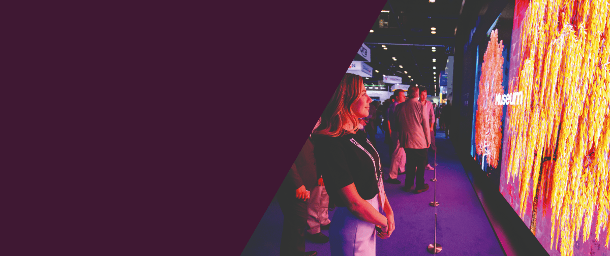 CTS-Multimedia-Hero-Purple