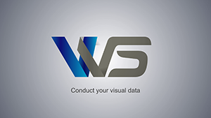 Virtual Vision Solutions Logo